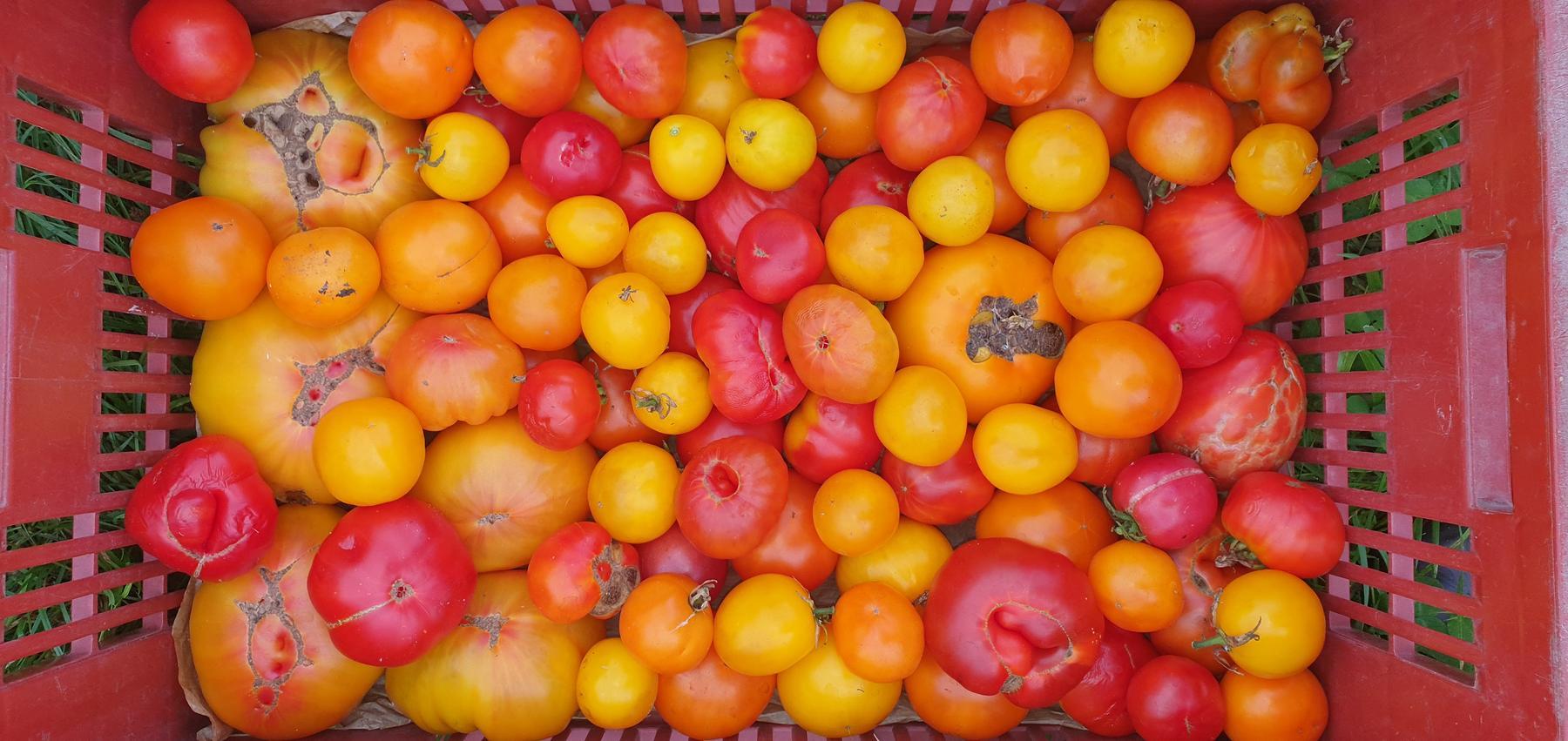 Légumes marché