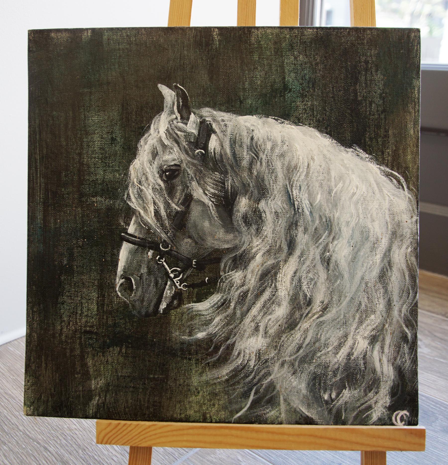 Cheval blanc