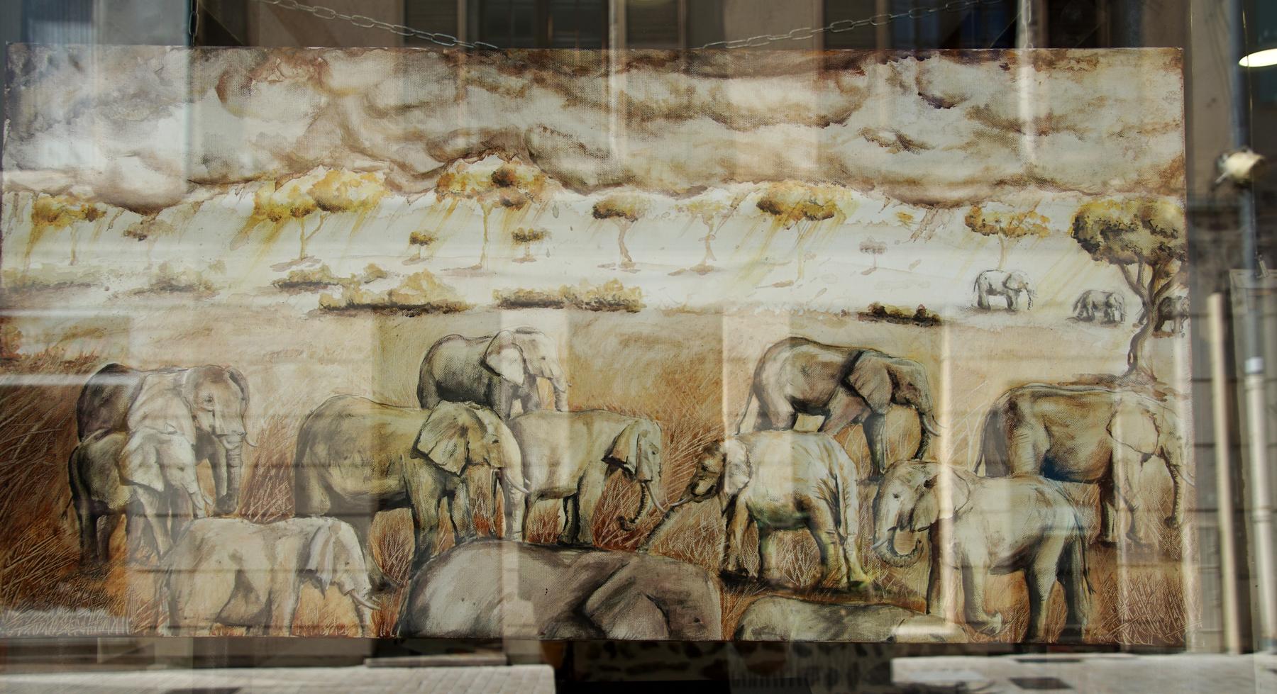 Éléphants